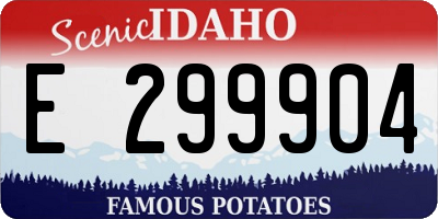 ID license plate E299904