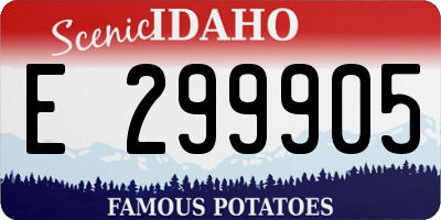 ID license plate E299905