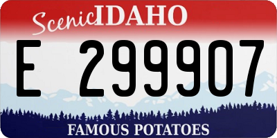 ID license plate E299907