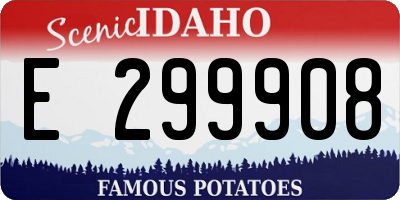 ID license plate E299908