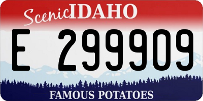 ID license plate E299909