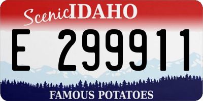 ID license plate E299911