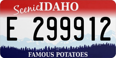 ID license plate E299912