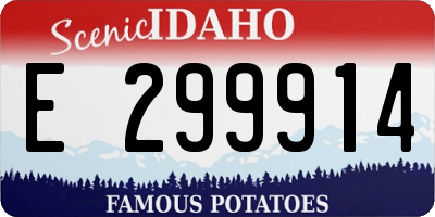 ID license plate E299914