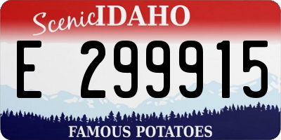 ID license plate E299915