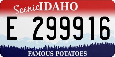 ID license plate E299916