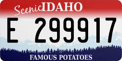 ID license plate E299917
