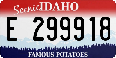 ID license plate E299918