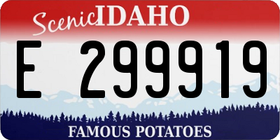 ID license plate E299919