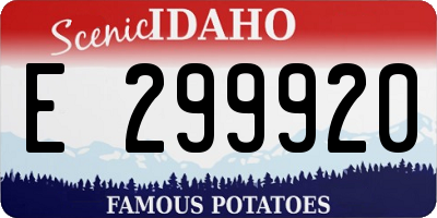 ID license plate E299920