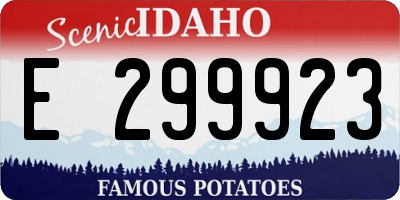 ID license plate E299923