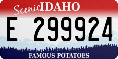 ID license plate E299924