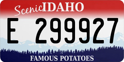 ID license plate E299927