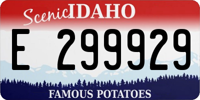 ID license plate E299929