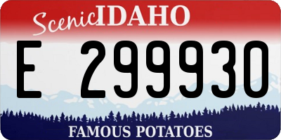 ID license plate E299930