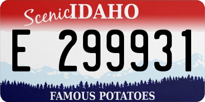 ID license plate E299931