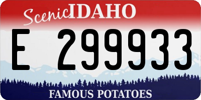 ID license plate E299933