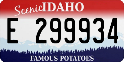 ID license plate E299934
