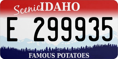 ID license plate E299935