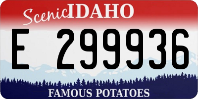 ID license plate E299936