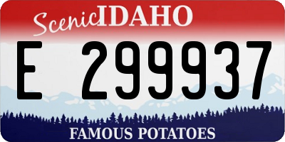 ID license plate E299937