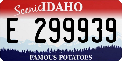 ID license plate E299939