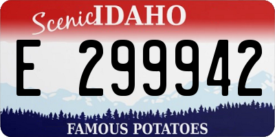 ID license plate E299942