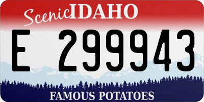 ID license plate E299943
