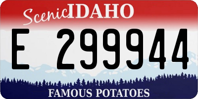 ID license plate E299944