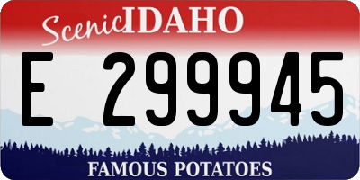 ID license plate E299945