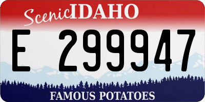 ID license plate E299947