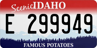 ID license plate E299949