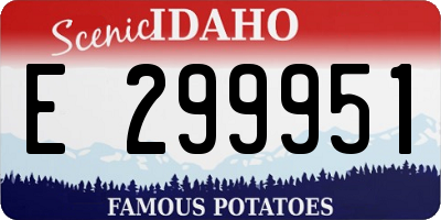 ID license plate E299951