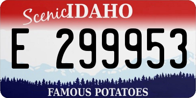 ID license plate E299953