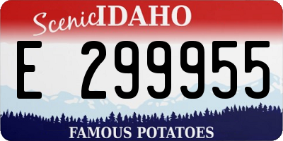 ID license plate E299955