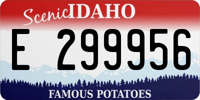 ID license plate E299956