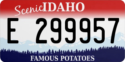 ID license plate E299957