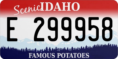 ID license plate E299958