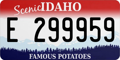 ID license plate E299959