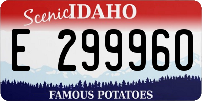 ID license plate E299960