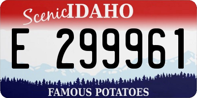 ID license plate E299961