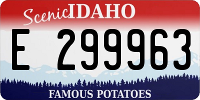 ID license plate E299963