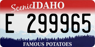 ID license plate E299965