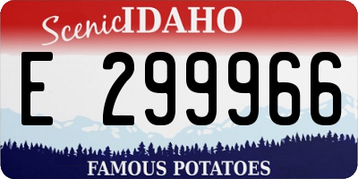ID license plate E299966