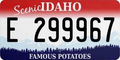 ID license plate E299967