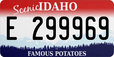 ID license plate E299969
