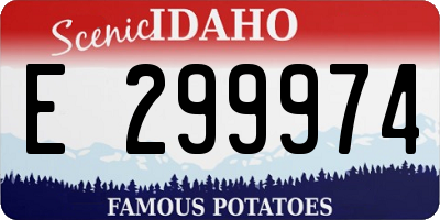 ID license plate E299974