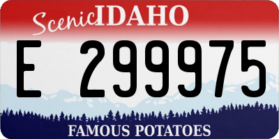 ID license plate E299975