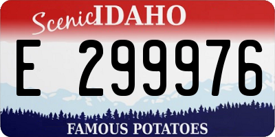 ID license plate E299976