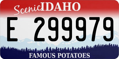 ID license plate E299979